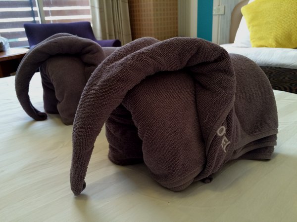 The elephant theme continues in this hotel.