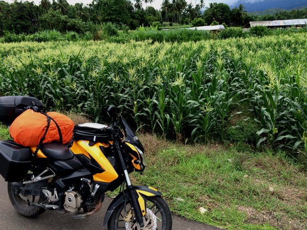 Past some corn fields along the way. Not sure if these crops were grown for consumption or for ethanol. Gasohol - gasoline (petrol) and ethanol mix in 90-10 (E10) and 80-20 (E20) is common here in Thailand.
