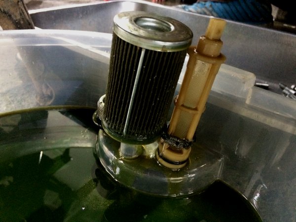 The oil filter seem to have caught bits of iron shavings too. But the significant bits were on the magnet of the oil strainer.